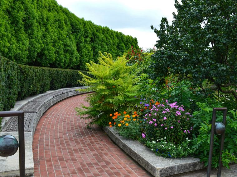 Trimmed hedge wall along a brick walkway with flowering beds