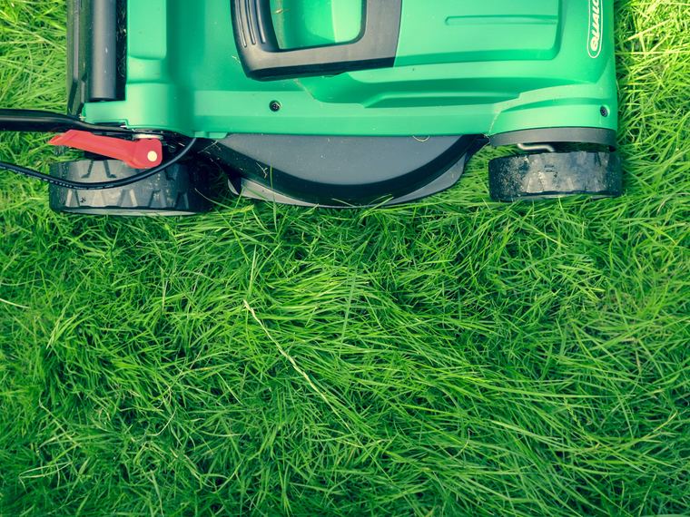 Mower cutting a dense green lawn, viewed from above