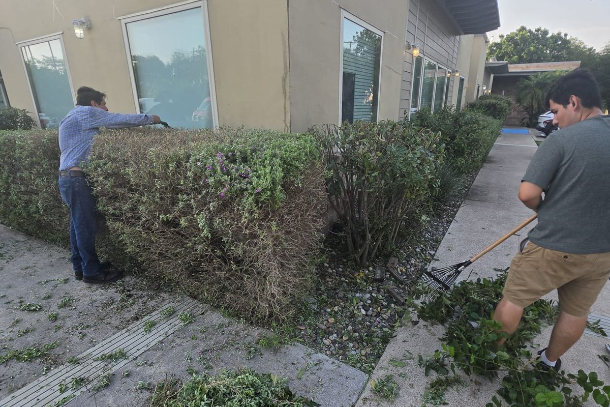 Crew shaping a hedge outside a commercial building and raking up the clippings