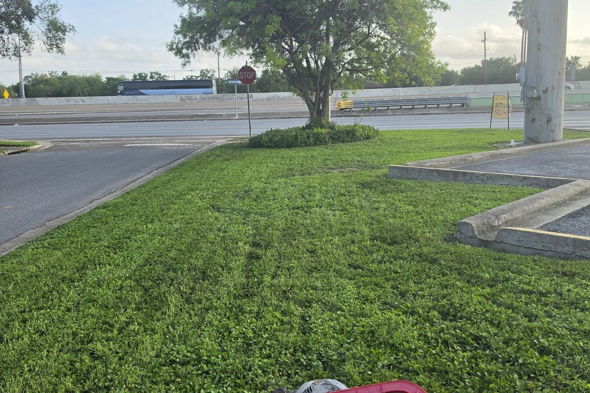 Cut lawn on a corner lot with a shade tree, mower in the foreground