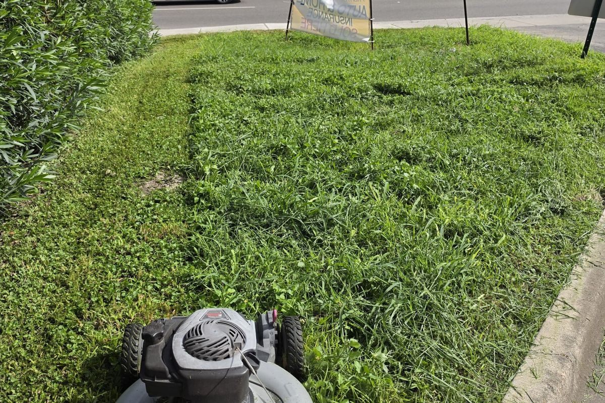 Mower part-way through a commercial lot beside a clipped hedge