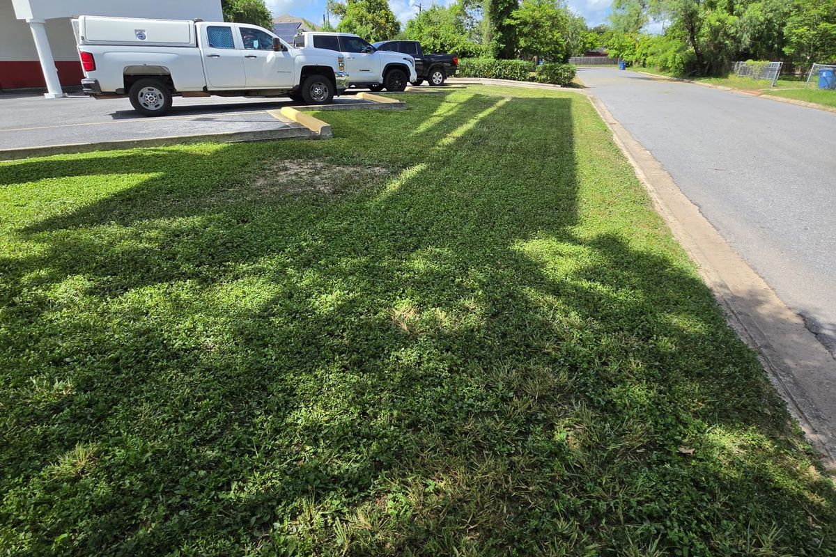 Finished lawn beside a parking area under a clear sky